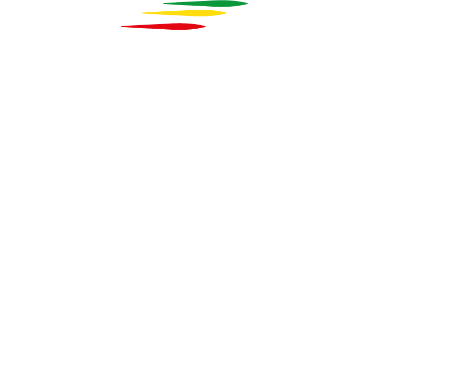 Fédération Béninoise des Sports Electroniques